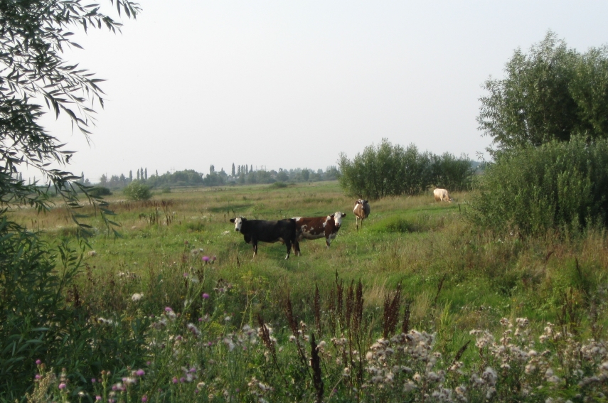 200621.jpg
