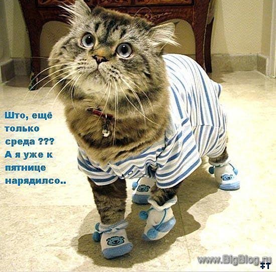 0_4c51f_32935fad_XL.jpg