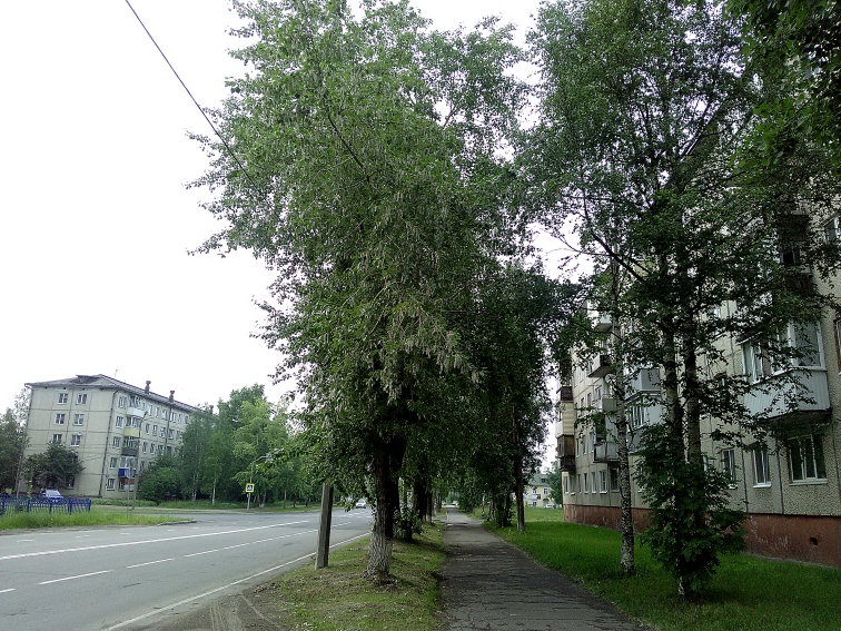 P_20210622_175107.jpg