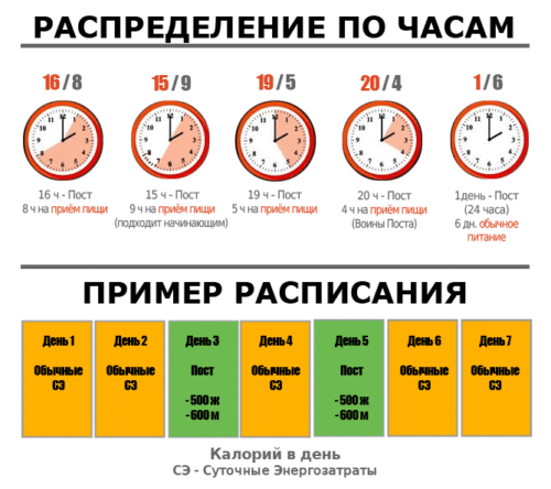 intervalnaya-periodicheskaya-shema-pitaniya-dlya-pohudeniya-24-chasa-e1576726149535.gif