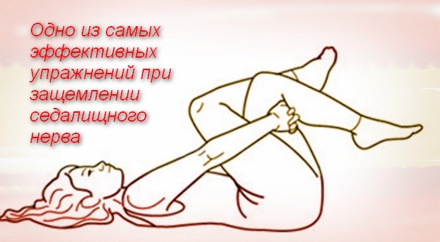 нерв.jpg