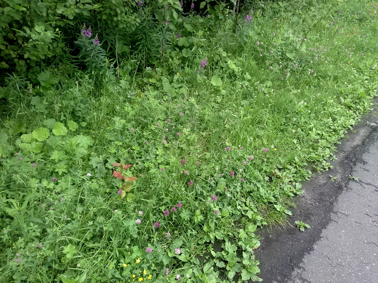 P_20210630_151923.jpg