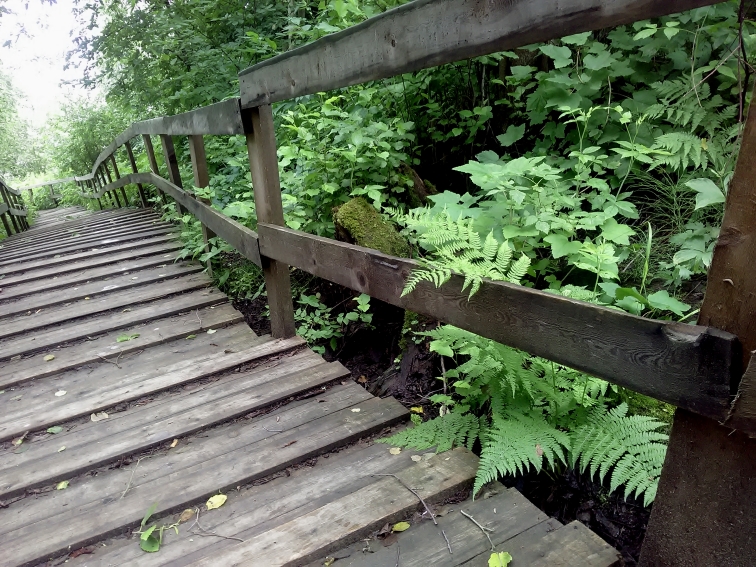 P_20210630_143805.jpg