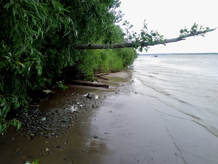 P_20210630_144308.jpg