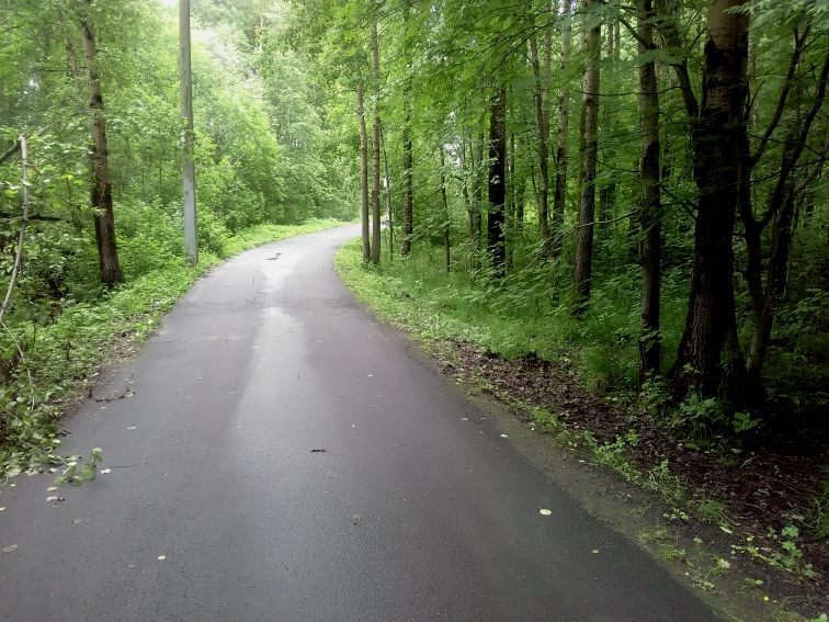 P_20210630_151605.jpg