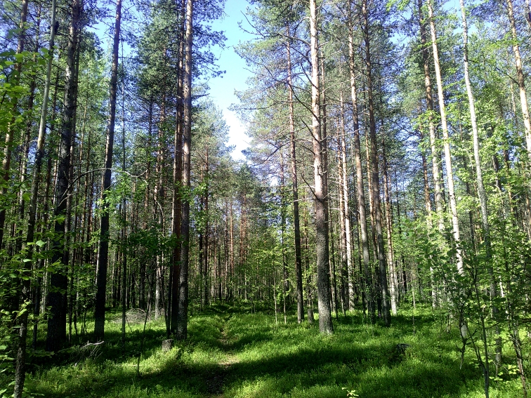 P_20210702_085551.jpg