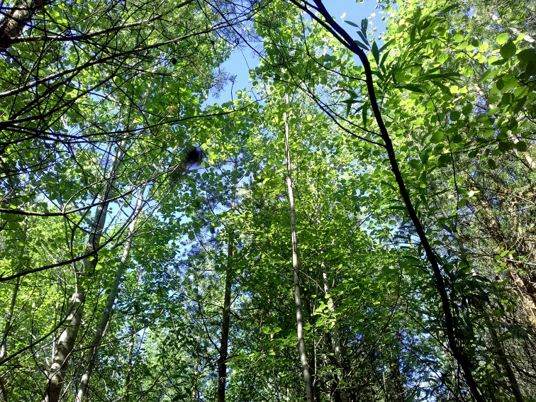 P_20210702_083920.jpg
