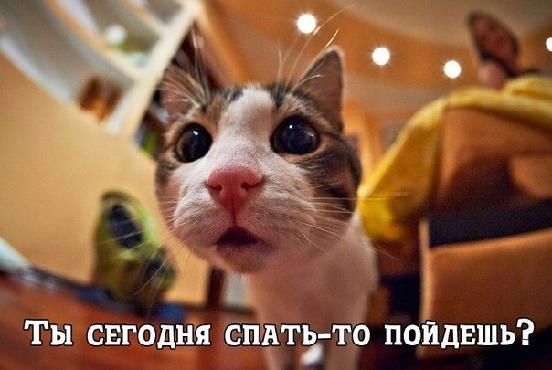 спать.jpg