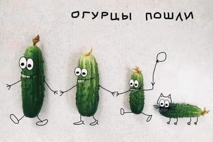 ог.jpg
