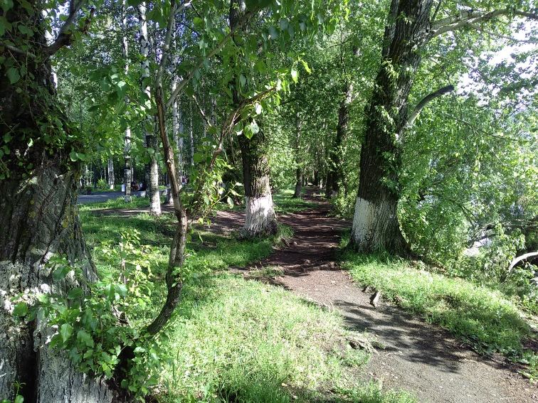 P_20210731_145039.jpg