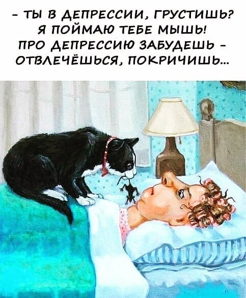 коте д м.jpg