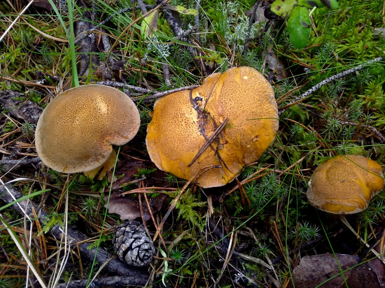 P_20210812_130023.jpg