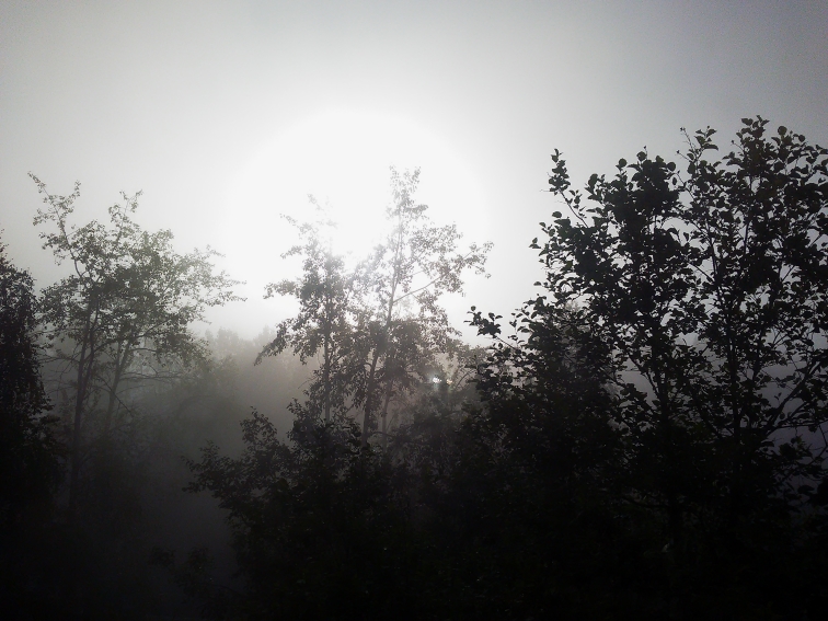 P_20210806_060227.jpg