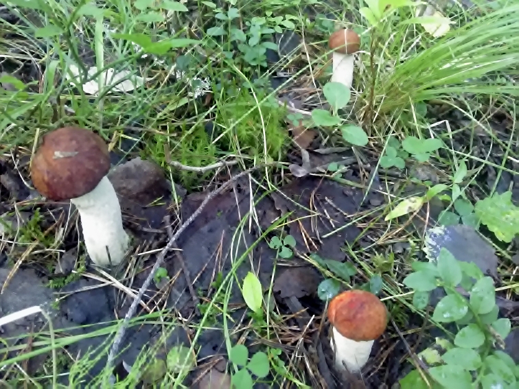 P_20210820_095510.jpg