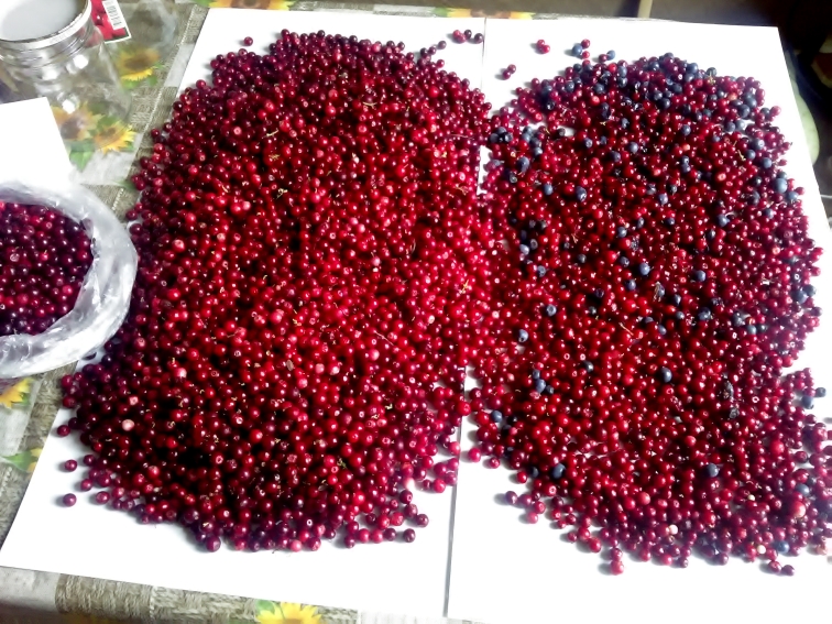 P_20210829_130919.jpg