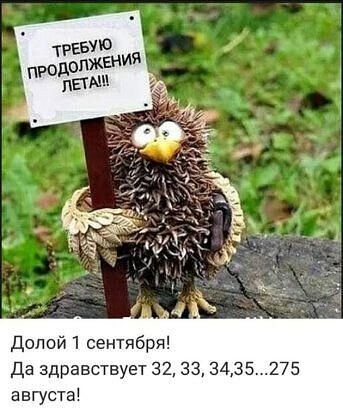 лето.jpg