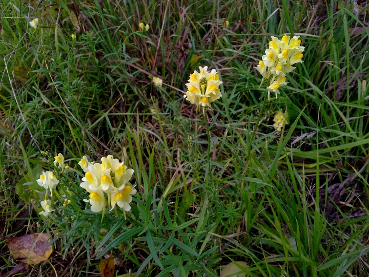 P_20210913_075654.jpg