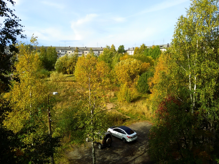 P_20210913_115111.jpg