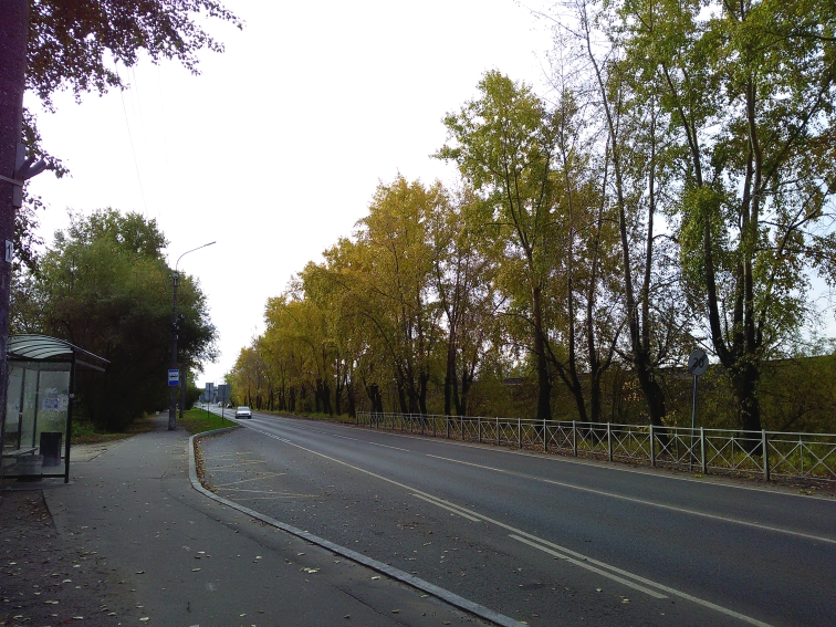 P_20210913_091908.jpg