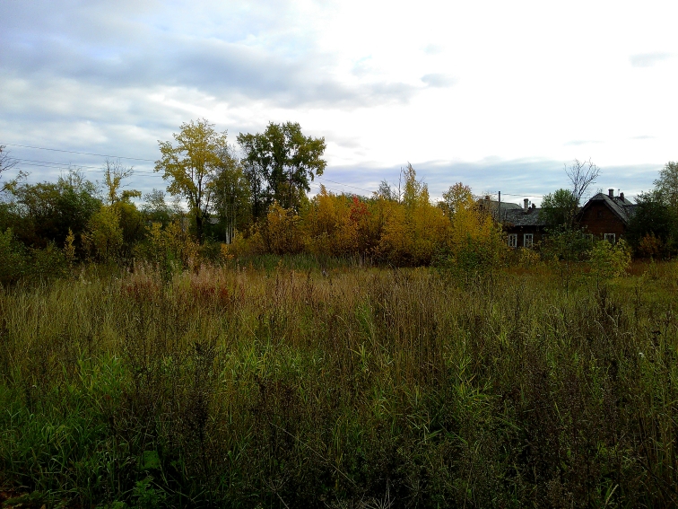 P_20210913_073859.jpg