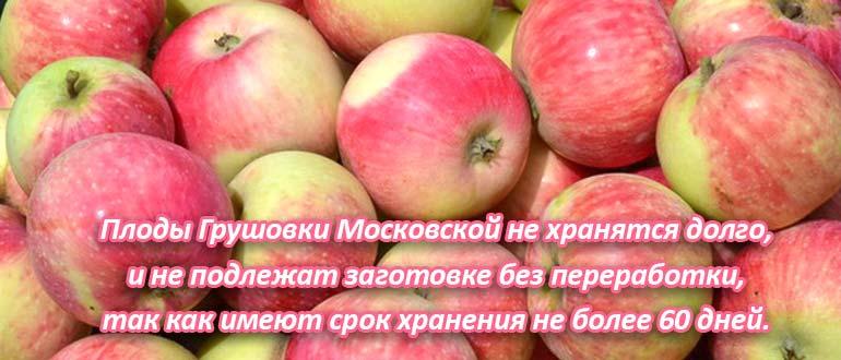 grushovka-hranenie.jpg