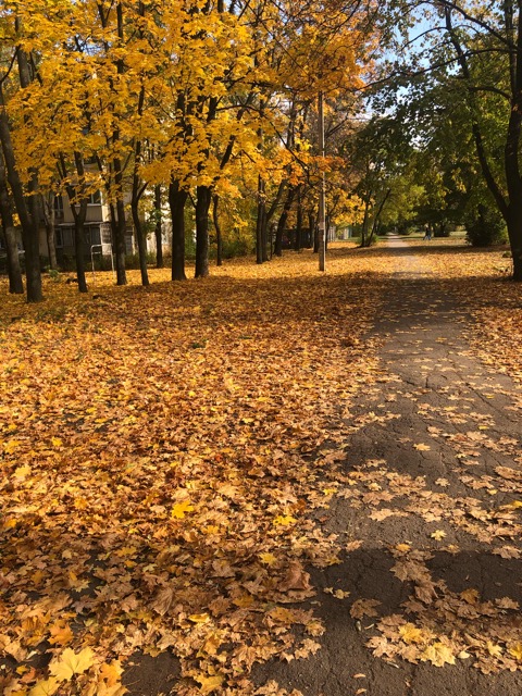 осень.JPG