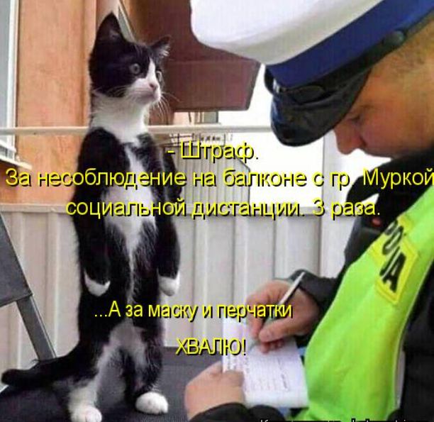 11.png