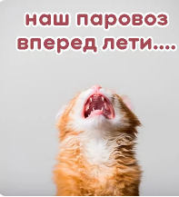 котопар.png