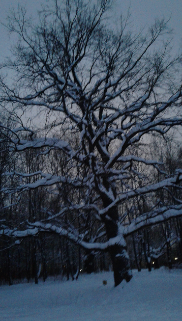 Скриншот 10-01-2022 175912.png