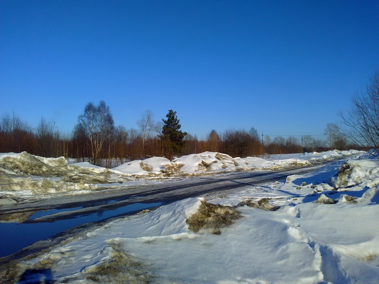 P_20220317_144957.jpg