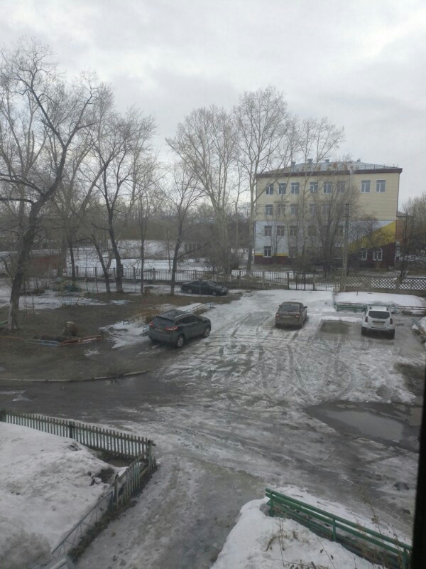 P20330-083150.jpg