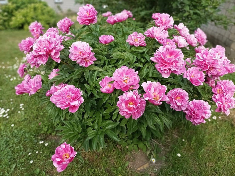 5b0bf6ed-b778-4ca3-bc4e-589ea0fd7a5a.jpg