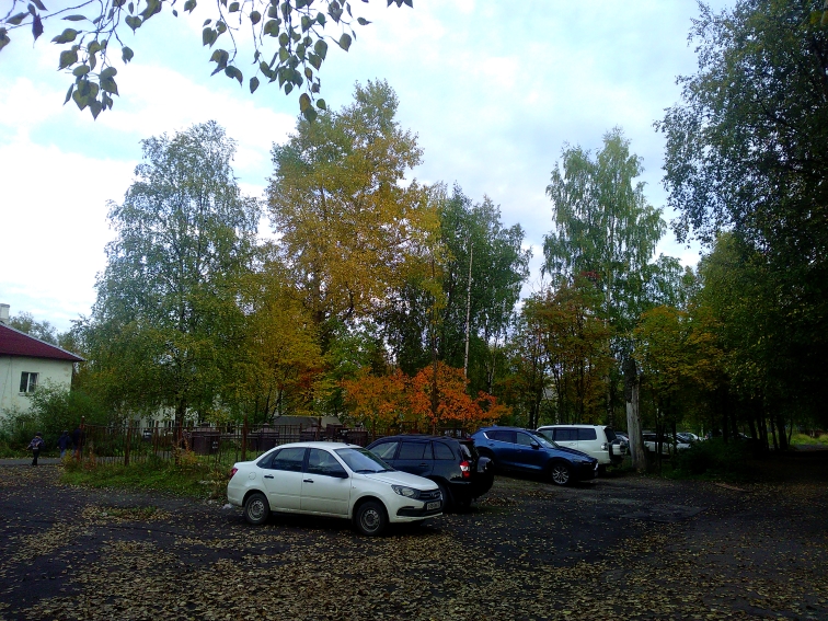 P_20220916_165457.jpg