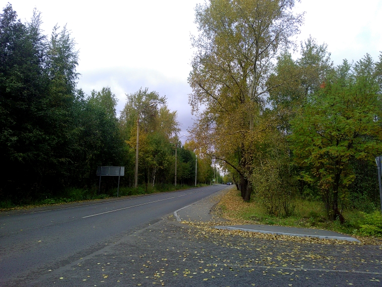 P_20220916_125540.jpg