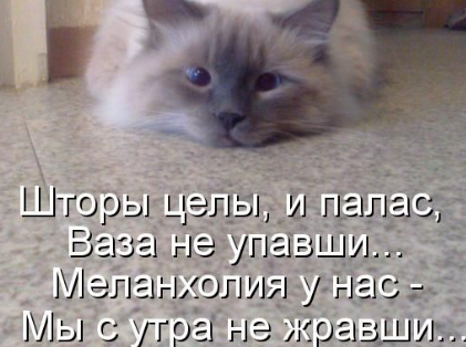 котееда.png