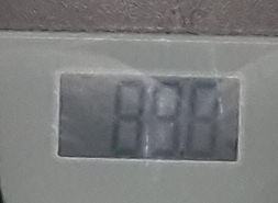20221115_073326.jpg