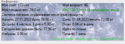 информер 28.11.PNG