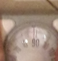 20221130_062826.jpg