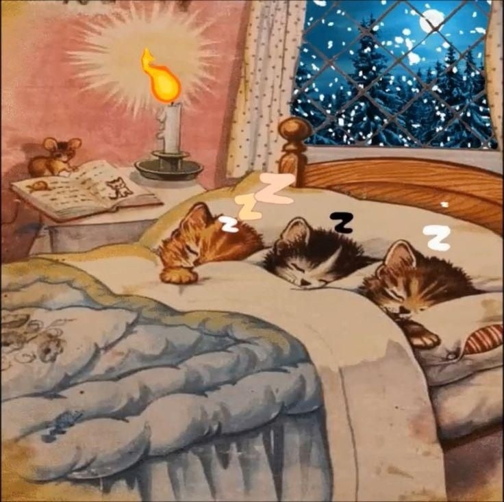 24.jpg