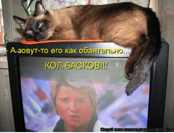 Screenshot_20221202-132744.png
