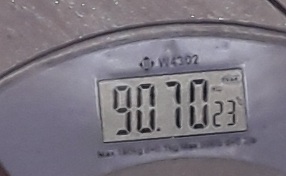 20221216_064756.jpg