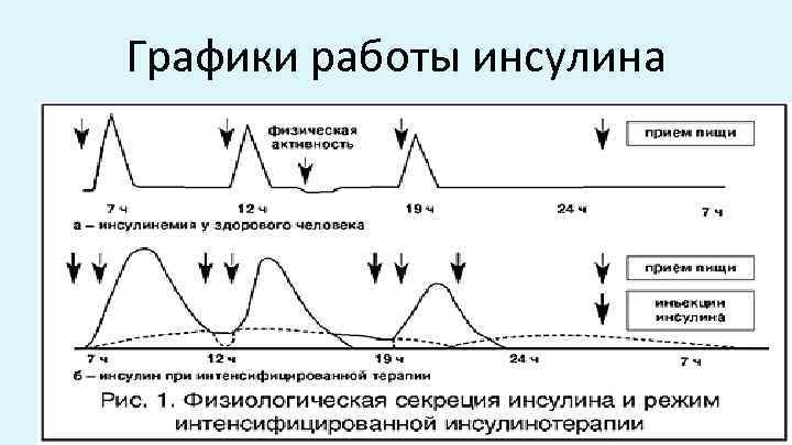 Инсулин.jpg