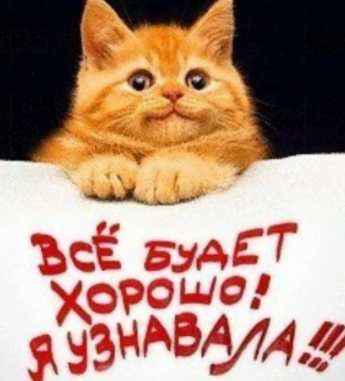 коте хор.png