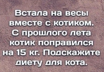 котодиета.png