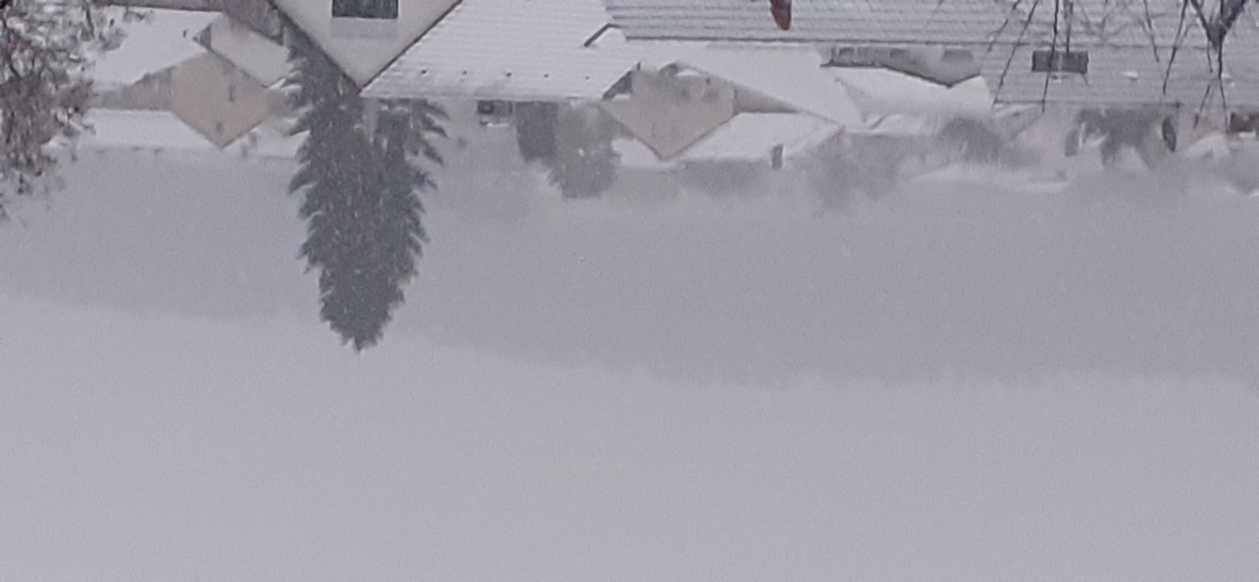20230120_075747.jpg