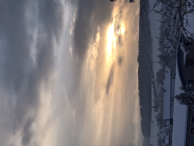688C6859-324D-4B77-A8FB-E67E14CA7CF5.jpeg