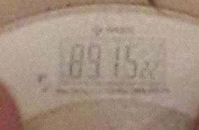20230203_051953.jpg
