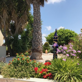 image11.jpeg