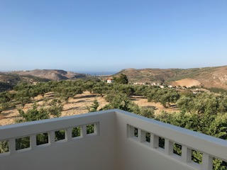 image1.jpeg