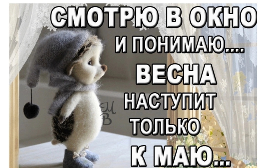 156.jpg